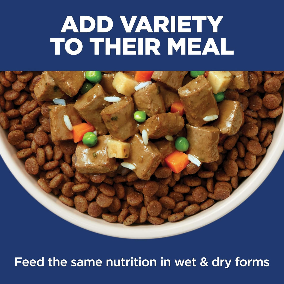 Hill's Science Diet Sensitive Stomach & Skin Small & Mini Dry Dog Food