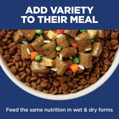 Hill's Science Diet Sensitive Stomach & Skin Small & Mini Dry Dog Food