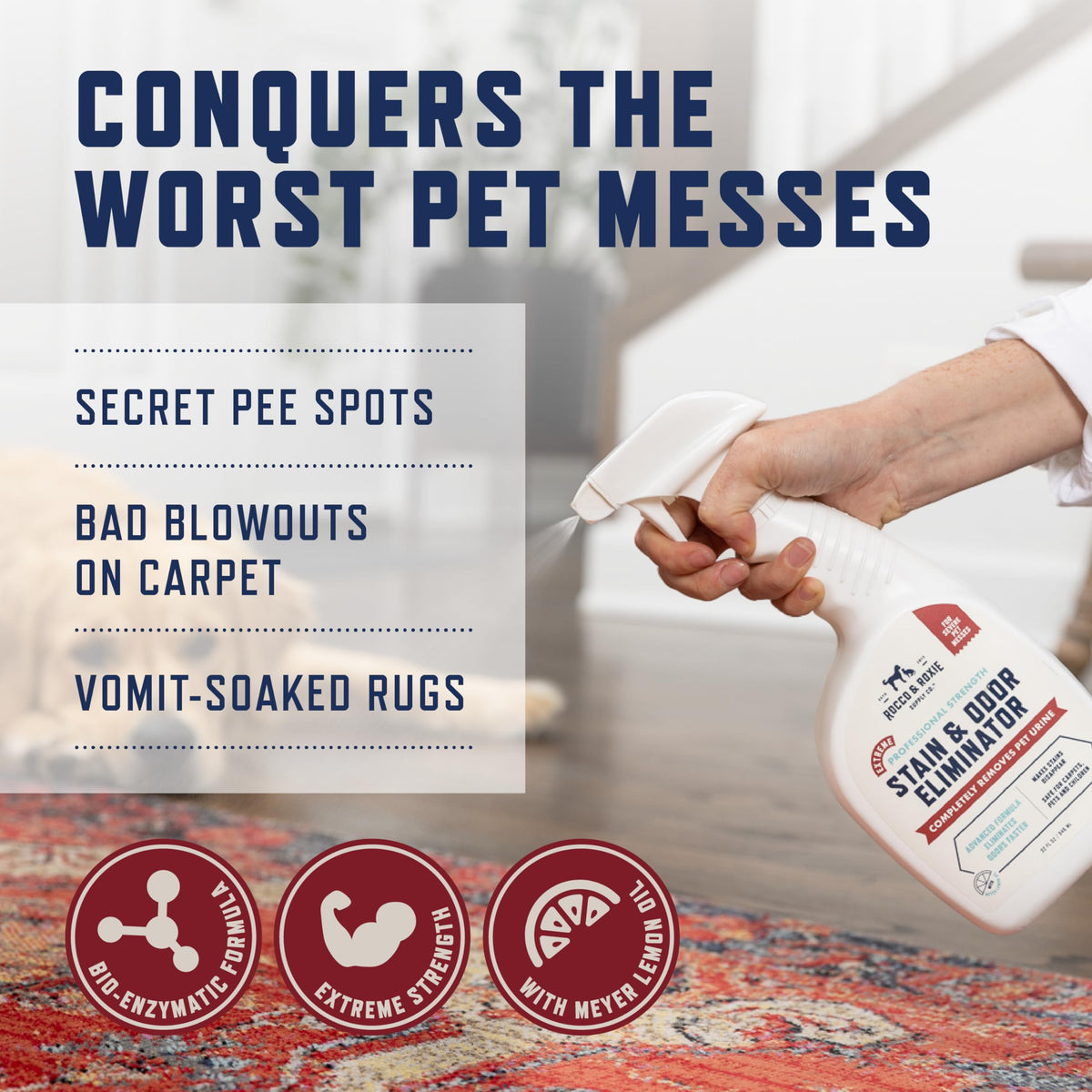 Rocco and Roxie pet stain remover spray bottle