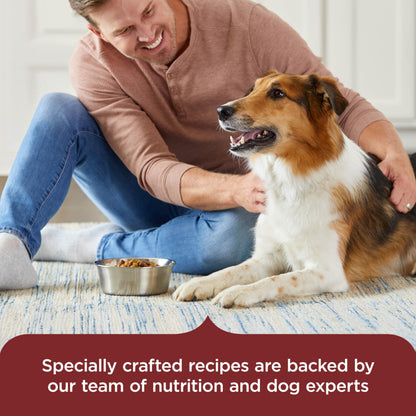 Rachael Ray Nutrish Beef Dog Food – scale view