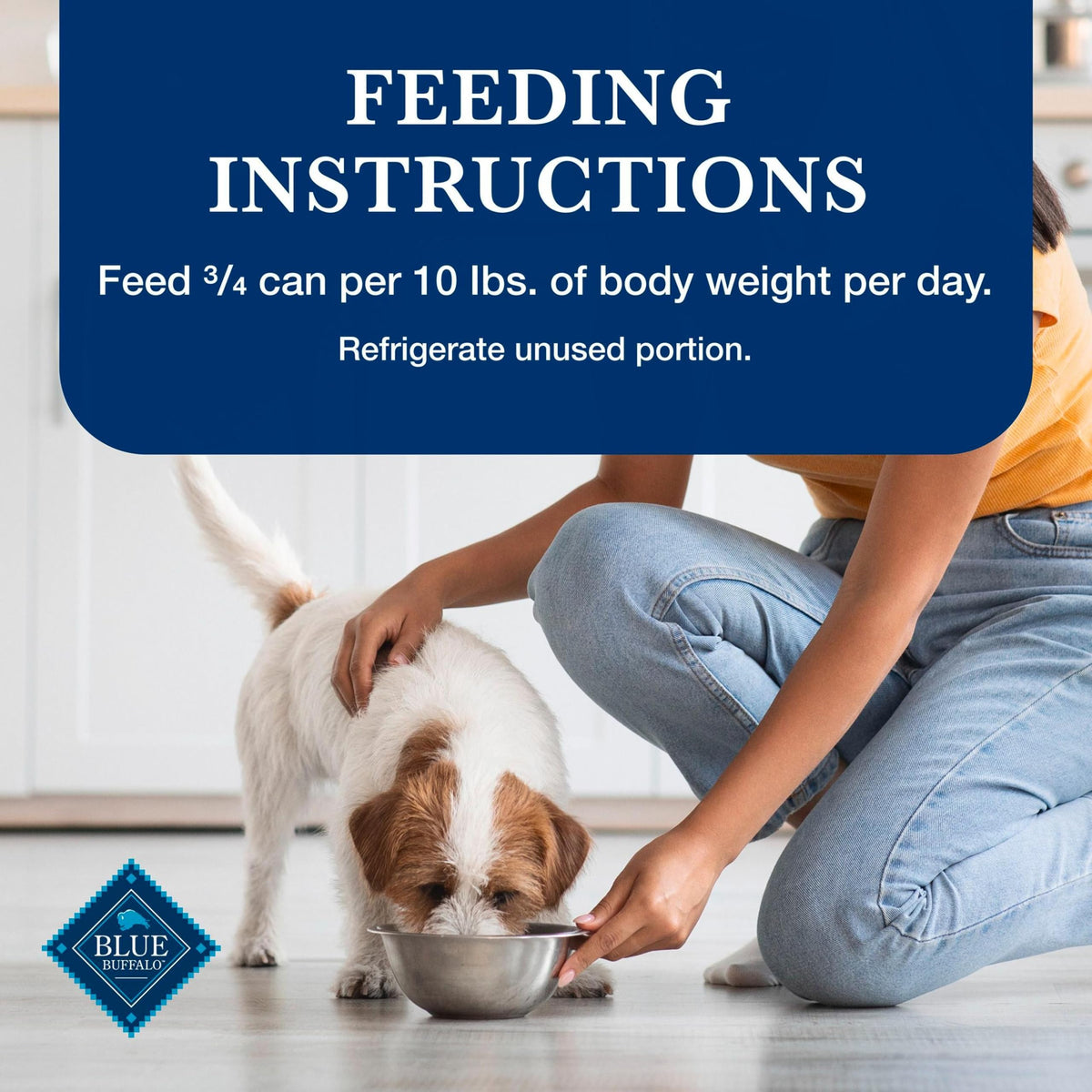 Blue Buffalo Homestyle Recipe Wet Dog Food Variety Pack, 6 Count