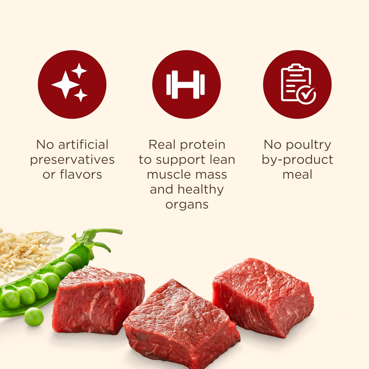 Rachael Ray Nutrish Beef Dog Food – size reference view