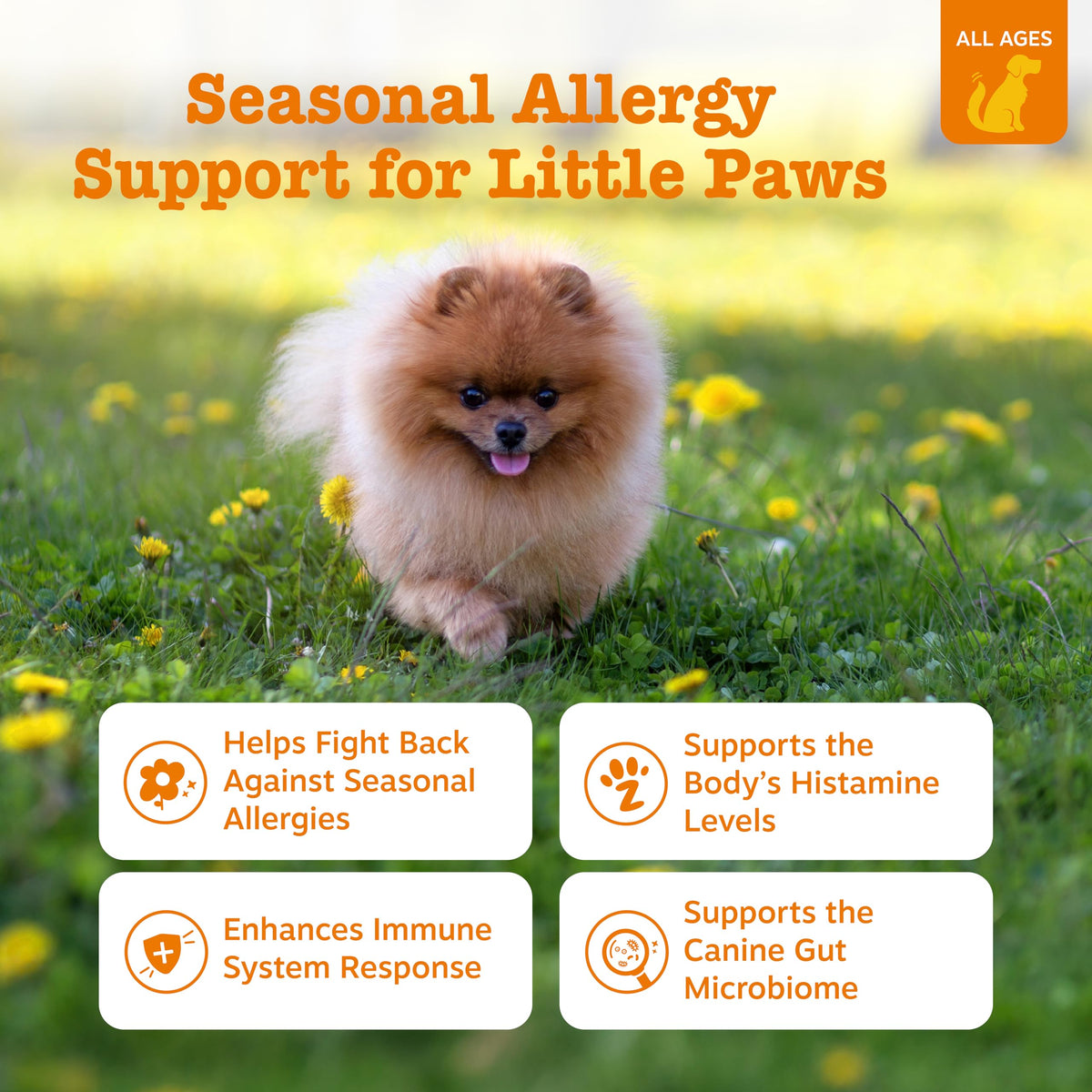Zesty Paws Peanut Butter Allergy Support Chews for Dogs, 90 Count