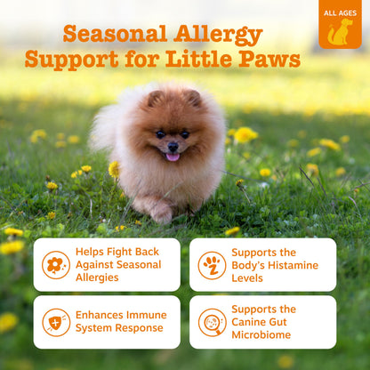 Zesty Paws Peanut Butter Allergy Support Chews for Dogs, 90 Count