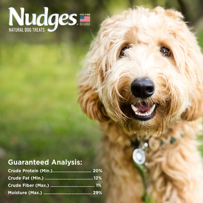 Blue Buffalo Nudges Chicken Jerky Cuts Dog Treats, 16 oz