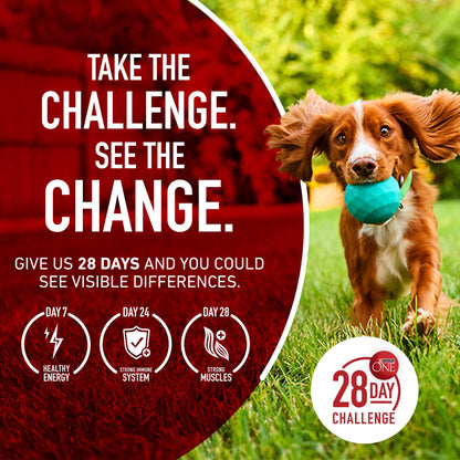 Purina ONE Lamb & Rice Formula Dry Dog Food for Digestive Support