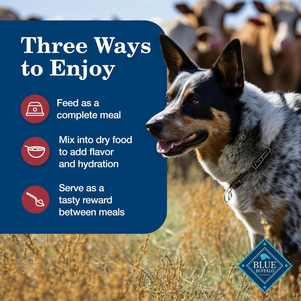 Blue Buffalo Homestyle Recipe Wet Dog Food Variety Pack, 6 Count