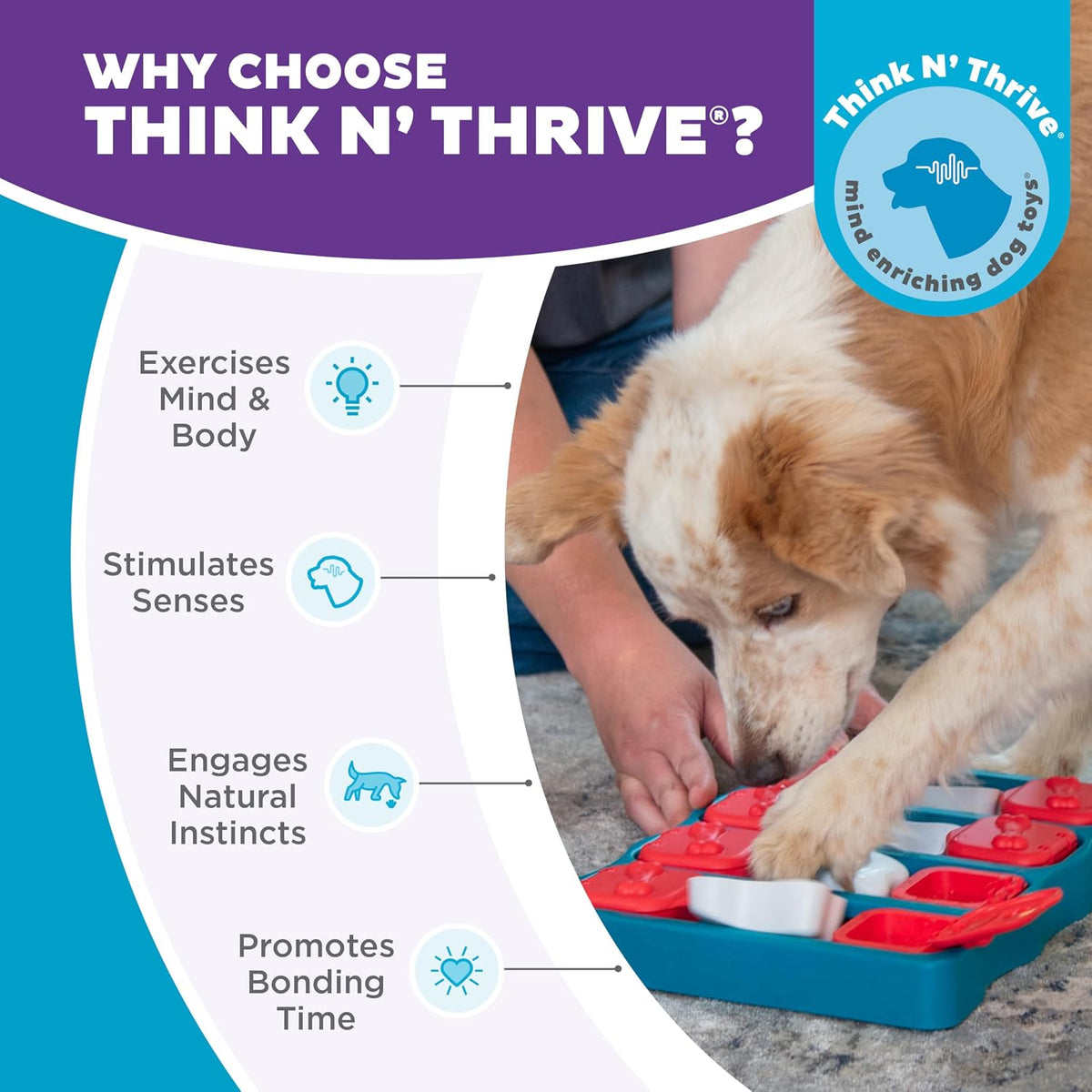 Dog Brick treat puzzle with sliding compartments