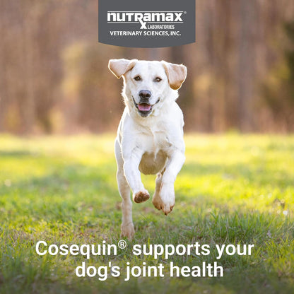 Nutramax Cosequin Soft Chew Supplement for Dogs, 120 Count