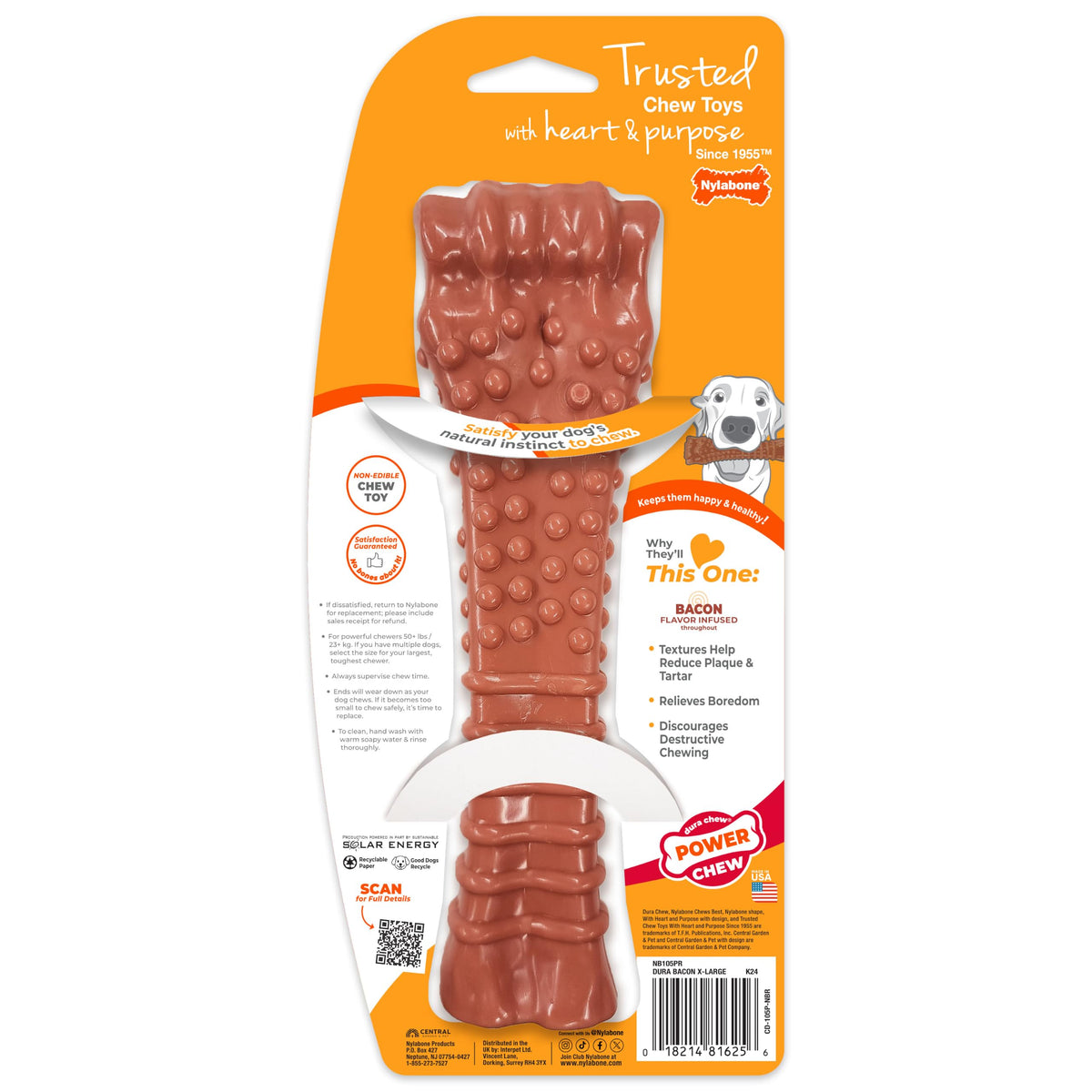 Dog chewing a Nylabone Power Chew nylon bone toy