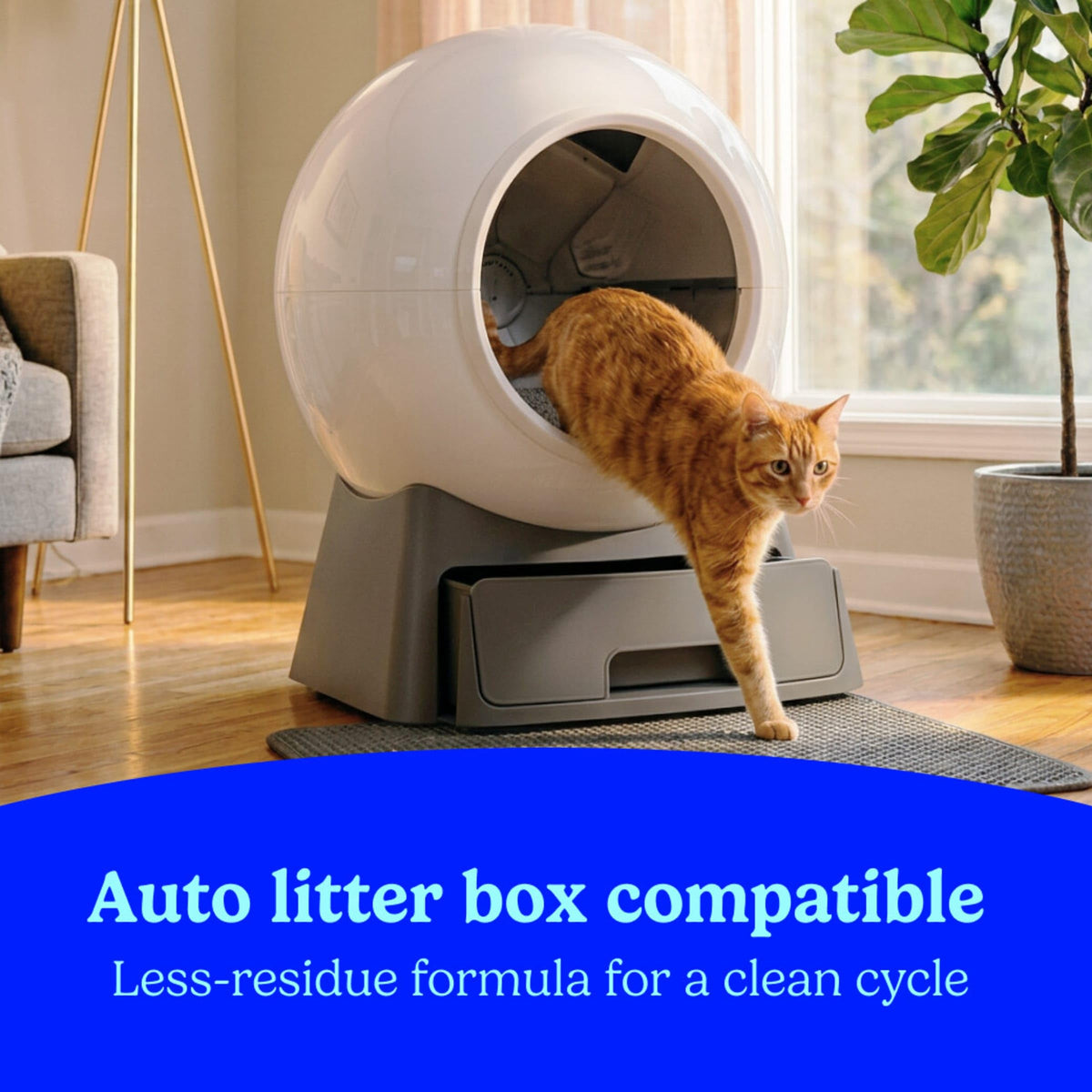 Fresh Step Advanced Ever Fresh Unscented Clumping Cat Litter, 2-Pack