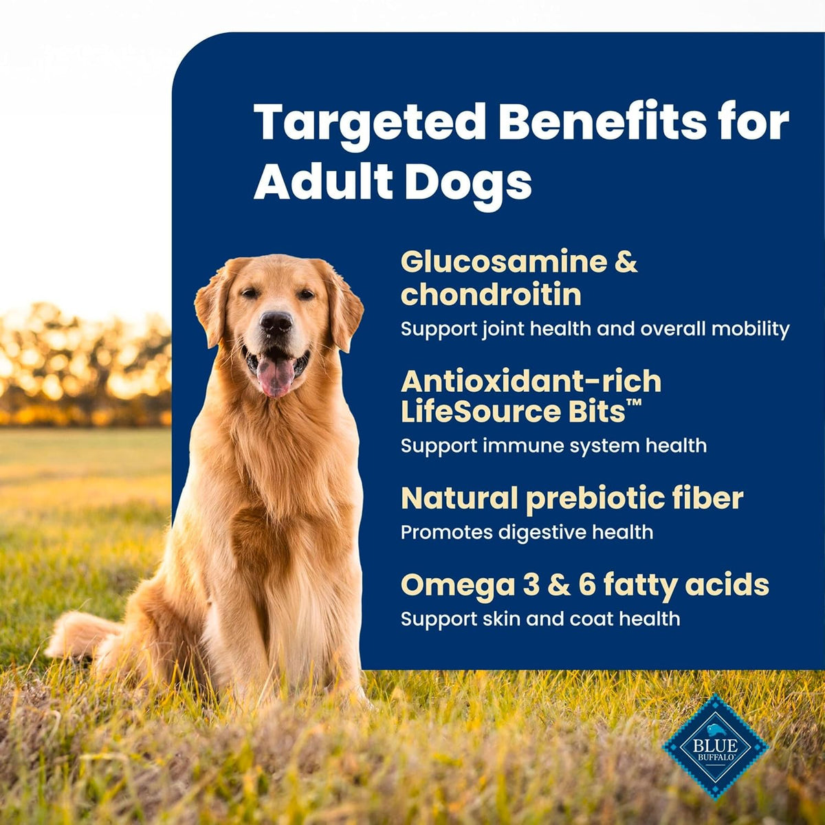 Blue Buffalo Life Protection Adult Dry Dog Food – Chicken & Brown Rice, 5 lb