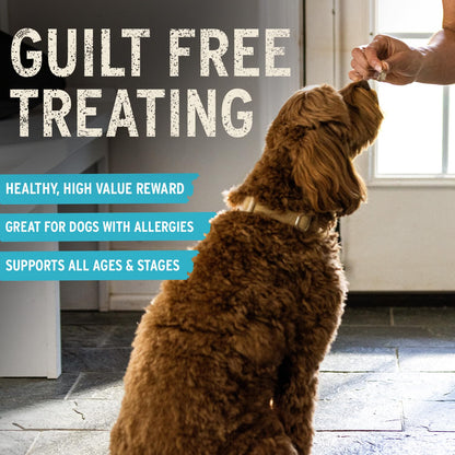 Vital Essentials Freeze-Dried Beef Tripe Nibs Dog Treats, 14 oz