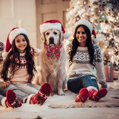 ADOGGYGO Christmas Dog Collar with Bow – Red & Green Plaid Cotton Dog Collar