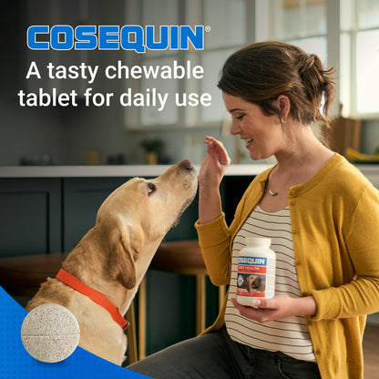 Nutramax Cosequin Joint Health Supplement for Dogs with MSM & HA, 250 Chew Tablets