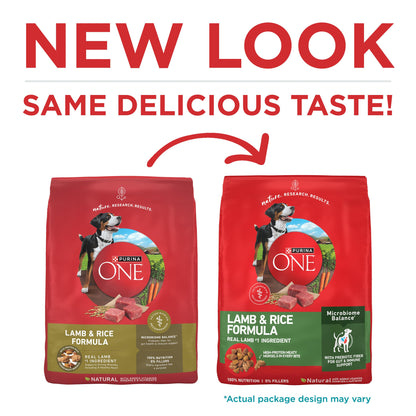 Purina ONE Lamb & Rice Formula Dry Dog Food for Digestive Support