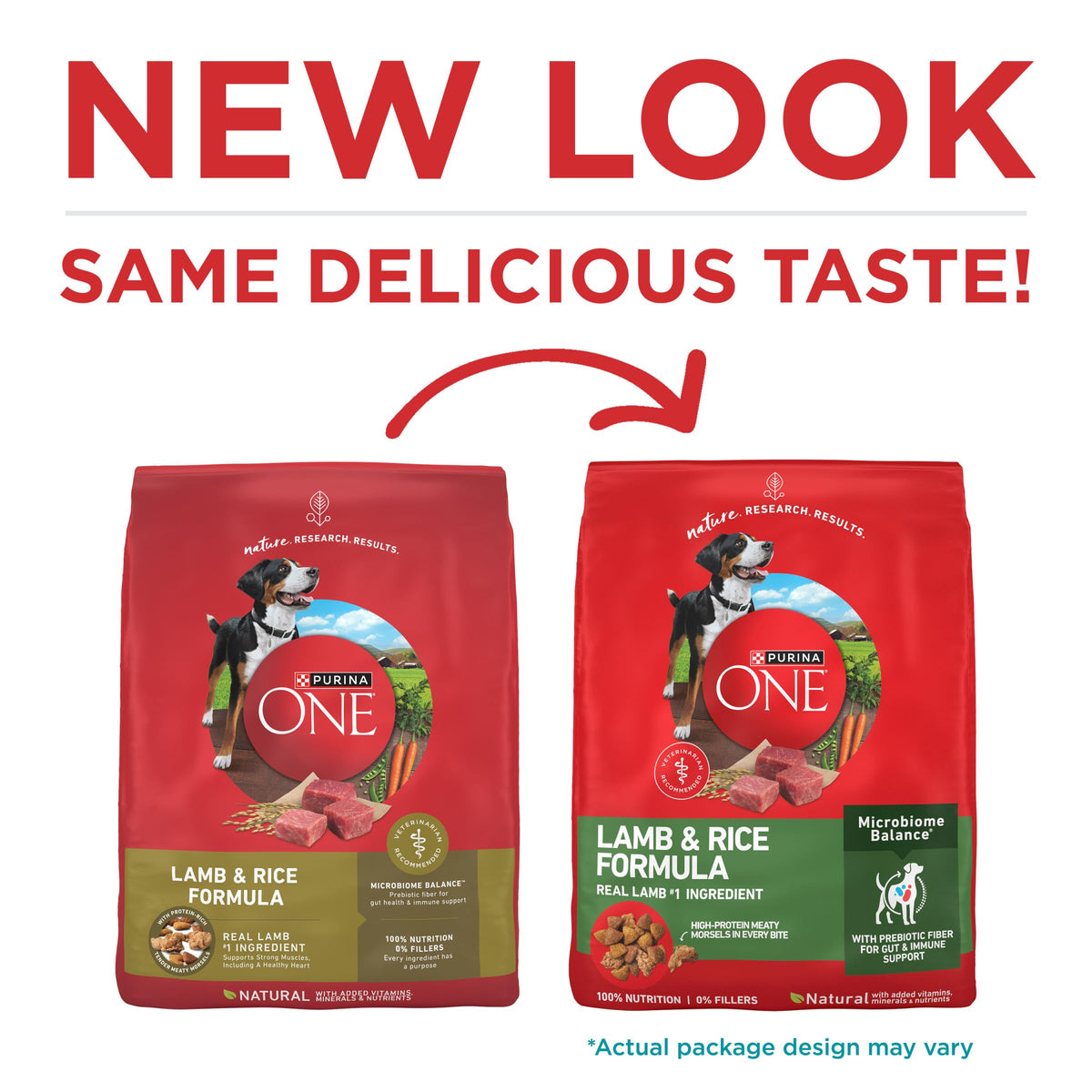 Purina ONE Lamb & Rice Formula Dry Dog Food for Digestive Support