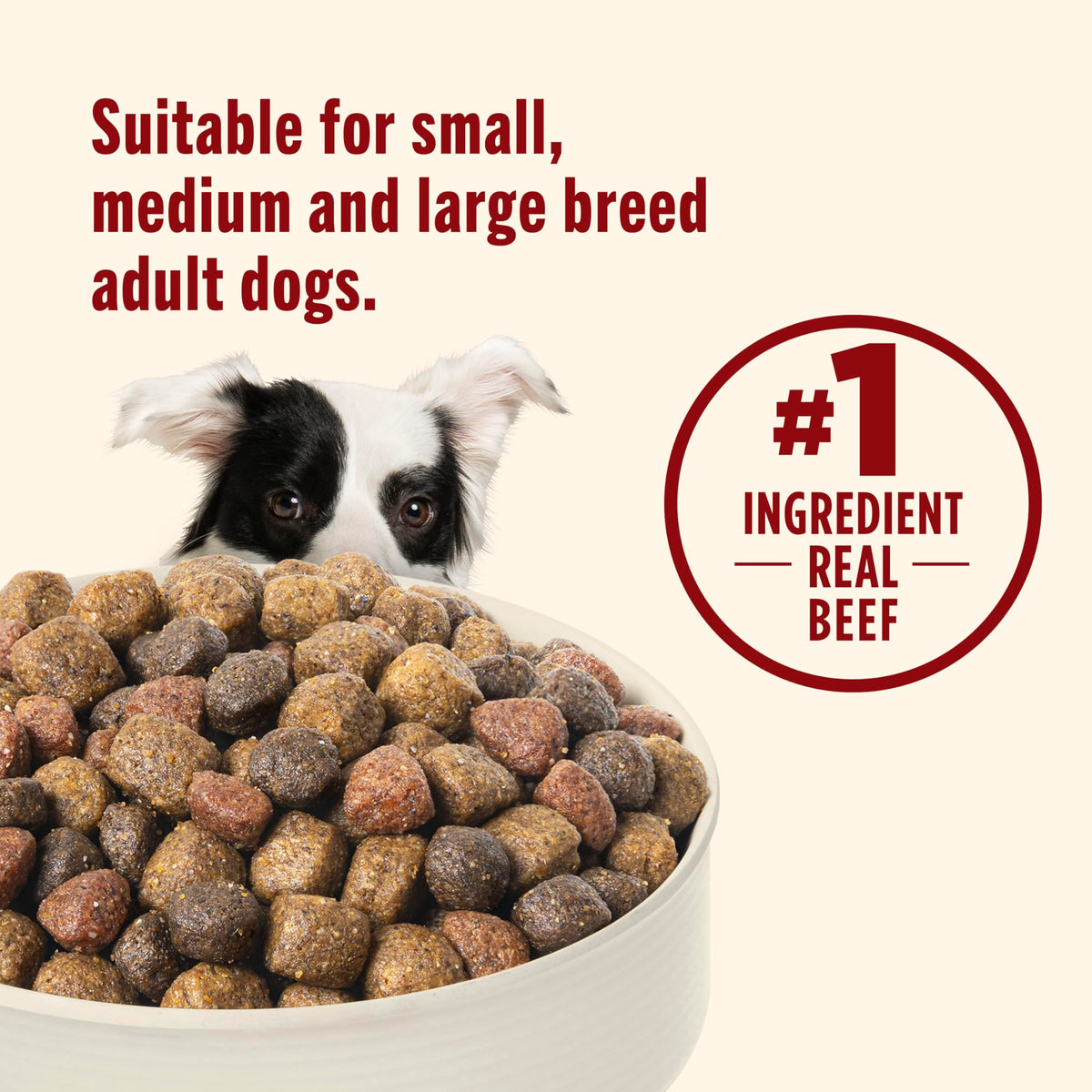 Rachael Ray Nutrish Beef Dog Food – alternate angle view