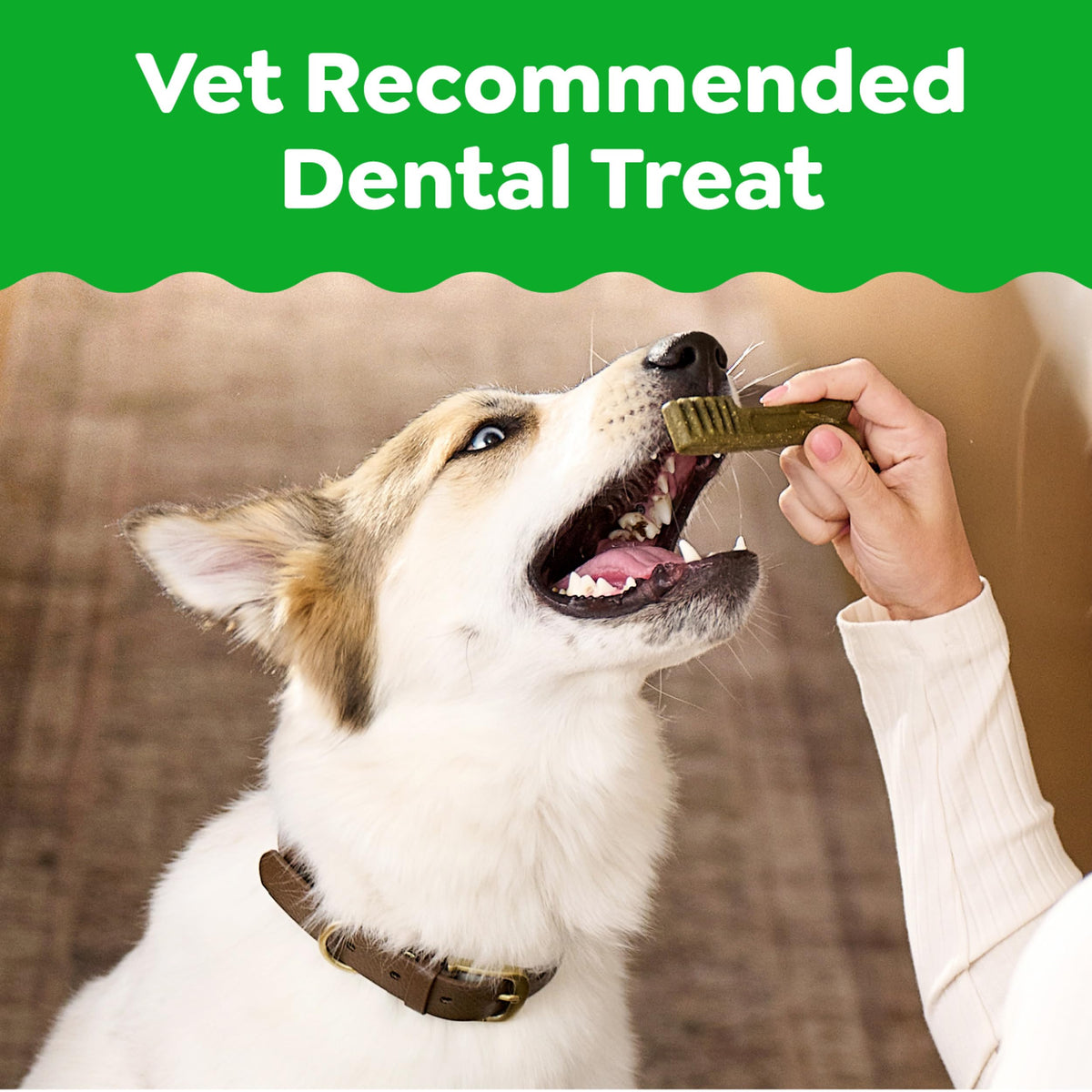 Greenies Teenie Natural Dental Dog Treats – Fresh Mint Flavor, 43 Count