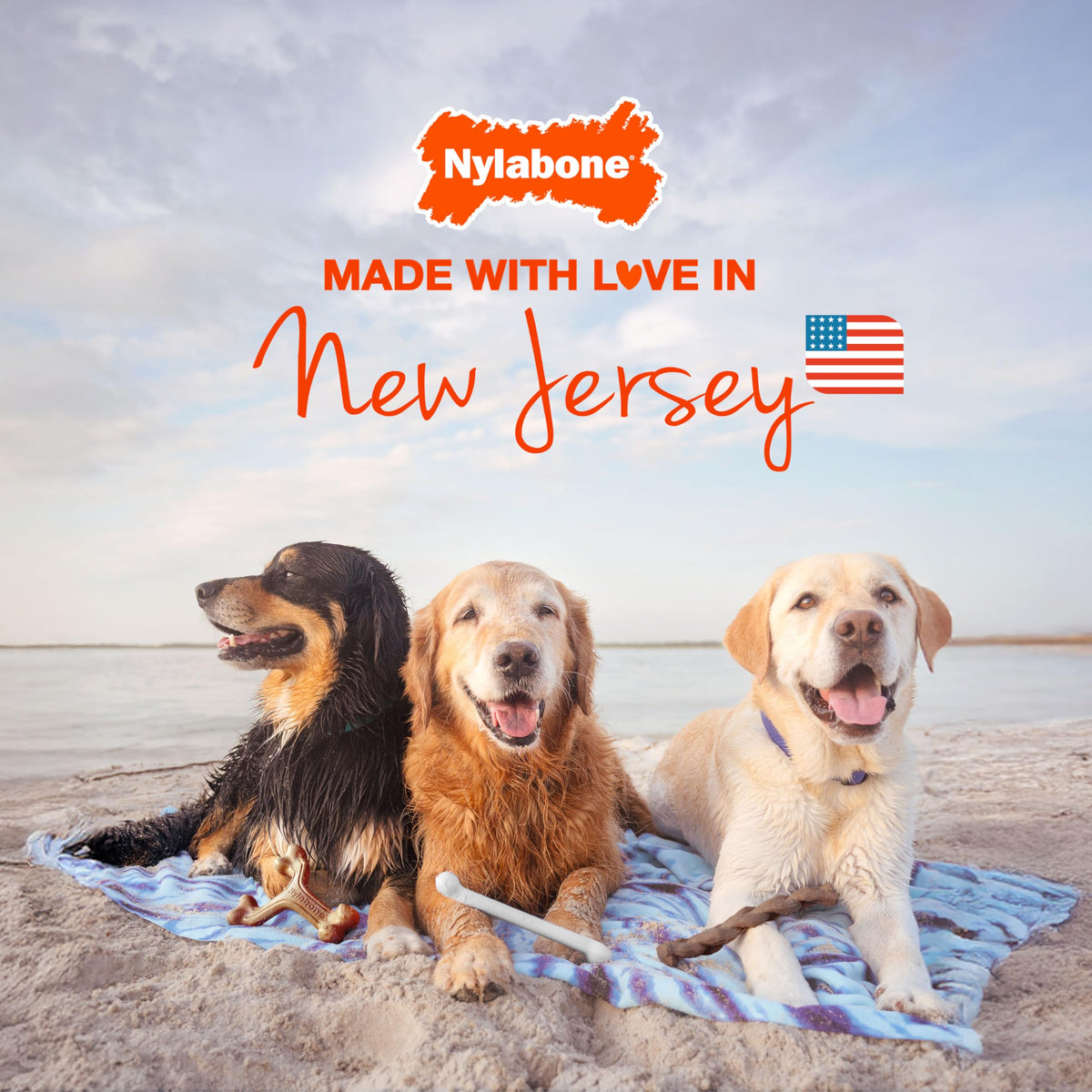 Nylabone Power Chew original bone made in the USA for medium dogs