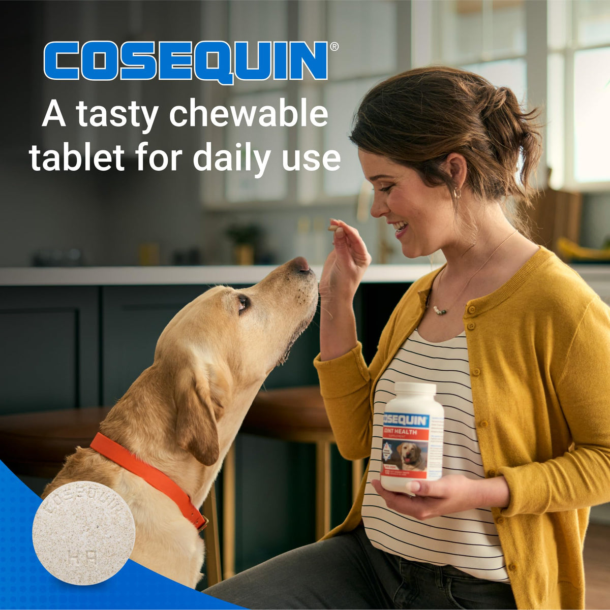 Nutramax Cosequin Joint Health Supplement for Dogs with MSM & HA, 250 Chew Tablets