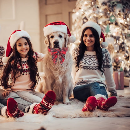 ADOGGYGO Christmas Dog Collar with Bow – Red & Green Plaid Cotton Dog Collar