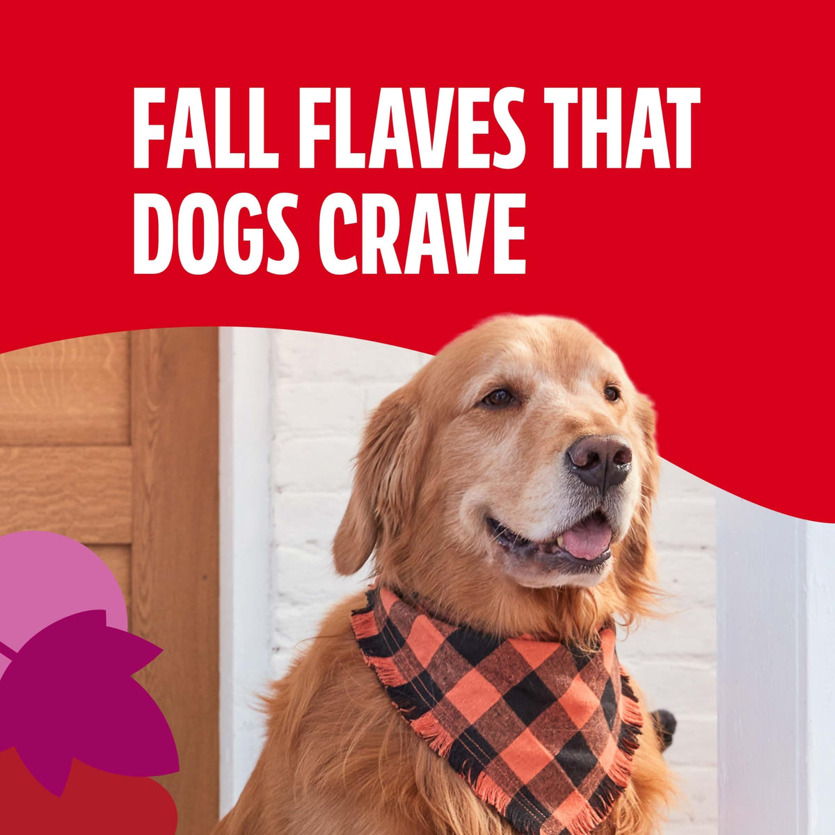 Milk-Bone MaroSnacks dog treats with real bone marrow 40 oz
