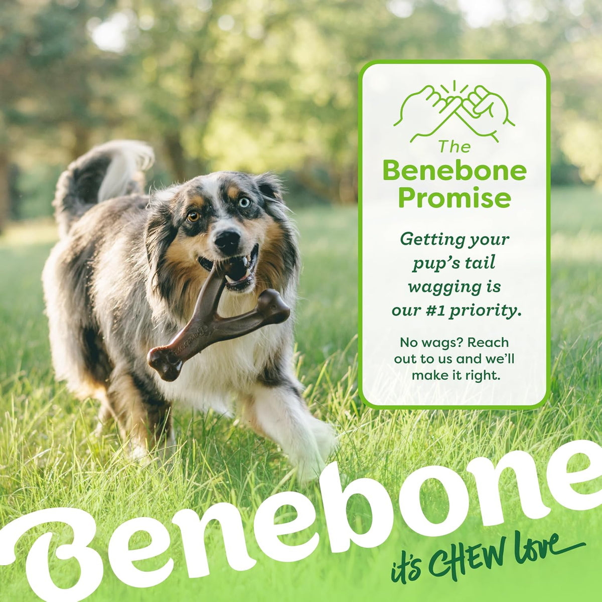 Benebone Wishbone chew toy for power chewers, made in the USA
