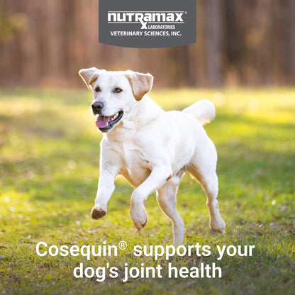 Nutramax Cosequin Joint Health Supplement for Dogs with MSM & HA, 250 Chew Tablets