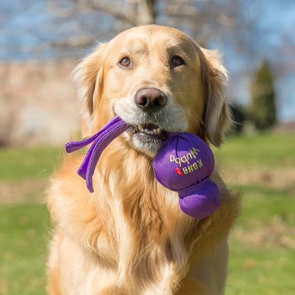 KONG Wubba fetch toy for large dogs, assorted colors