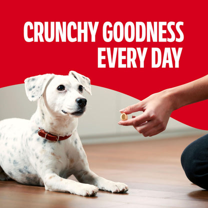 Dog eating a Milk-Bone MaroSnacks crunchy biscuit treat