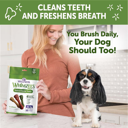 Whimzees Brushzees VOHC accepted dental chews