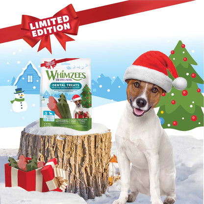 WHIMZEES Holiday Dog Dental Treats – Medium, 6 Count
