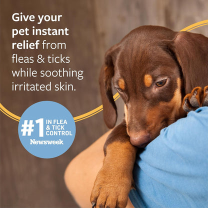 Veterinary Formula Flea & Tick Shampoo for Dogs and Cats, 16 oz