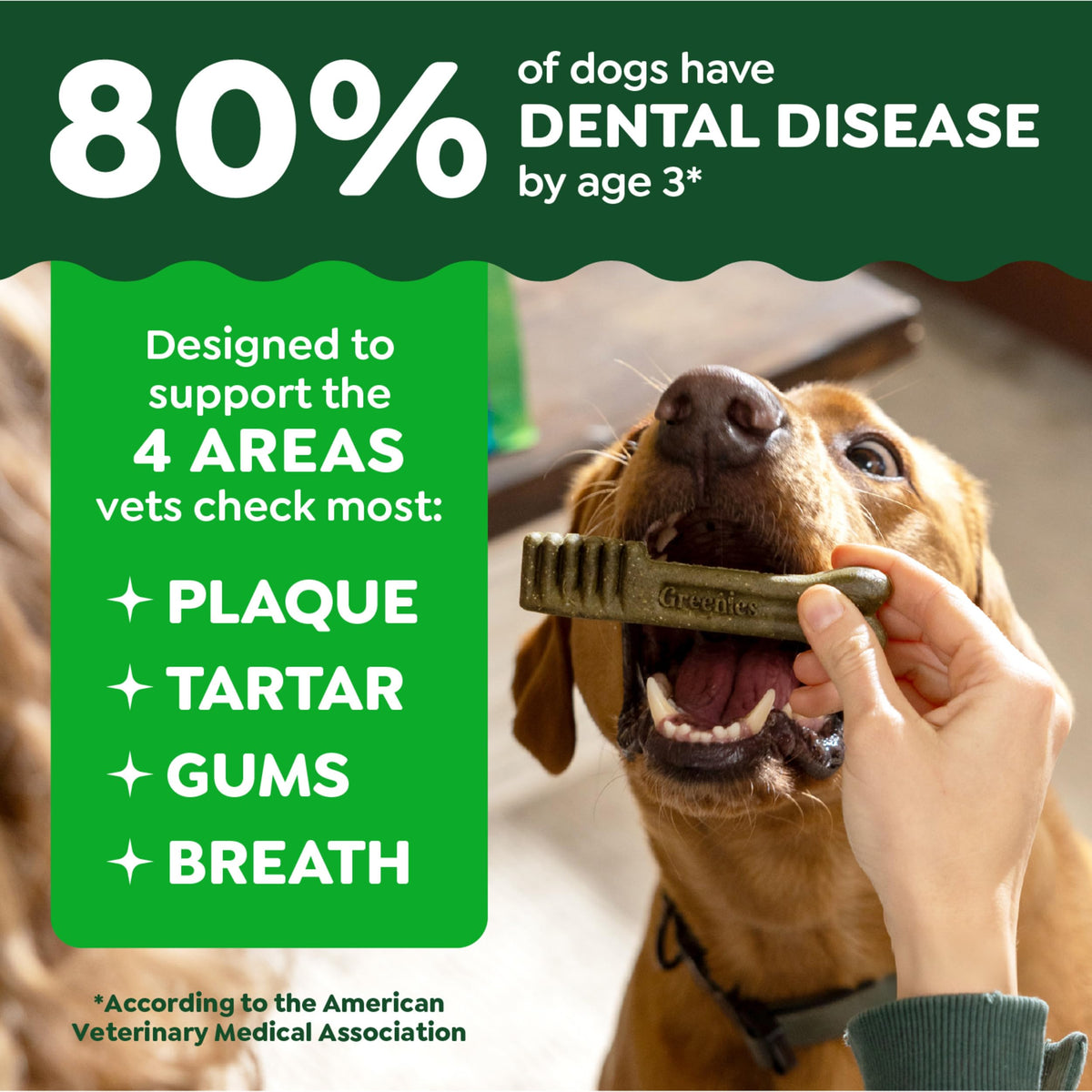 Greenies Teenie Natural Dental Dog Treats – Fresh Mint Flavor, 43 Count