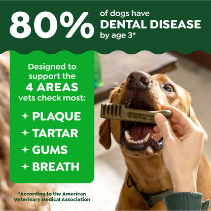 Greenies Teenie Natural Dental Dog Treats – Fresh Mint Flavor, 43 Count