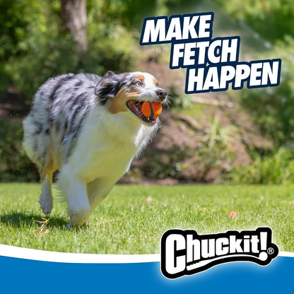 Dog fetching a Chuckit Ultra Ball high-bounce dog toy
