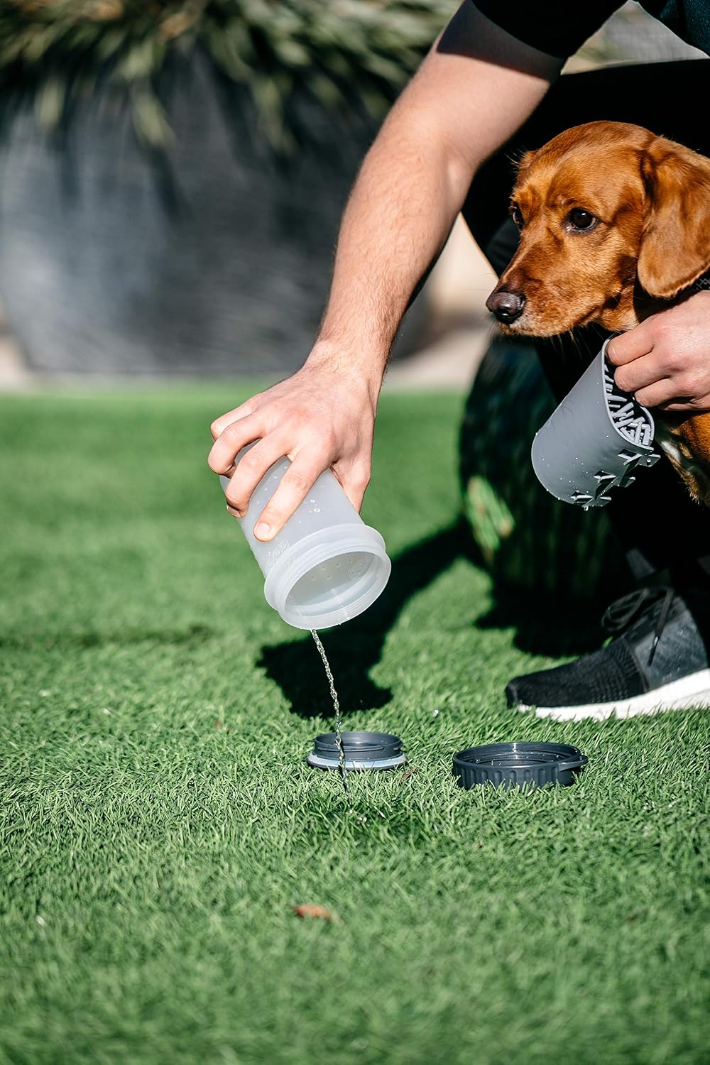 Dexas MudBuster portable paw cleaner with silicone bristles
