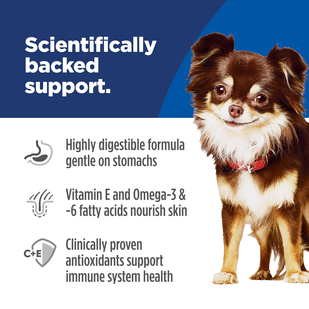 Hill's Science Diet Sensitive Stomach & Skin Small & Mini Dry Dog Food