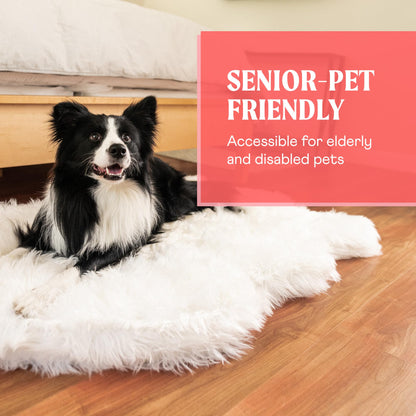 PupRug Orthopedic Dog Bed – back view