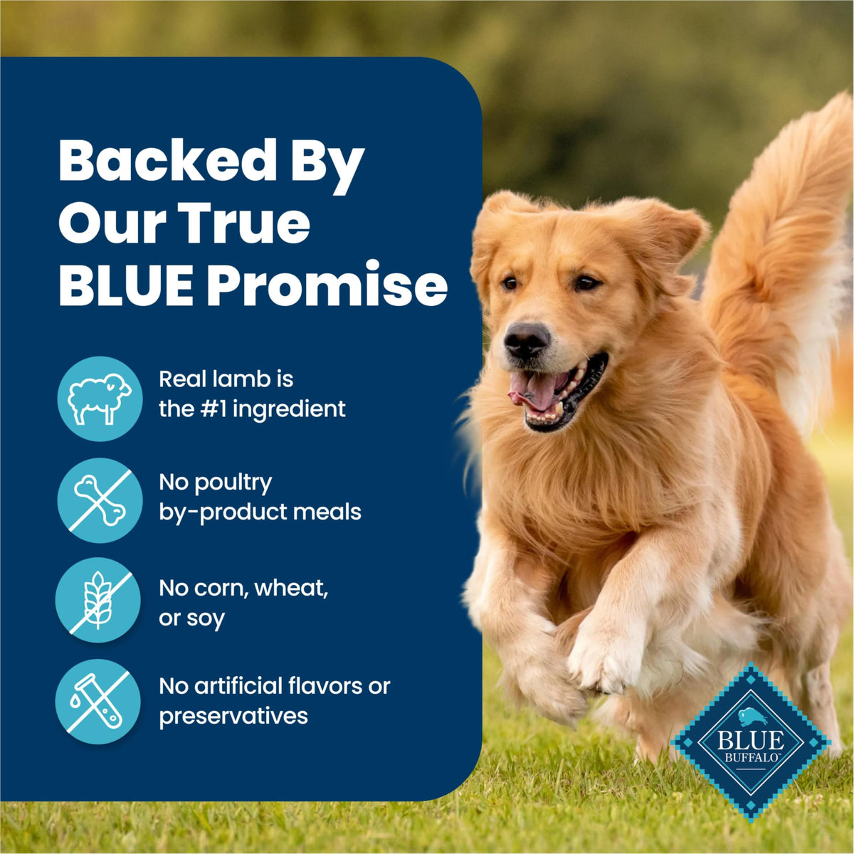 Blue Buffalo Homestyle Recipe Wet Dog Food Variety Pack, 6 Count