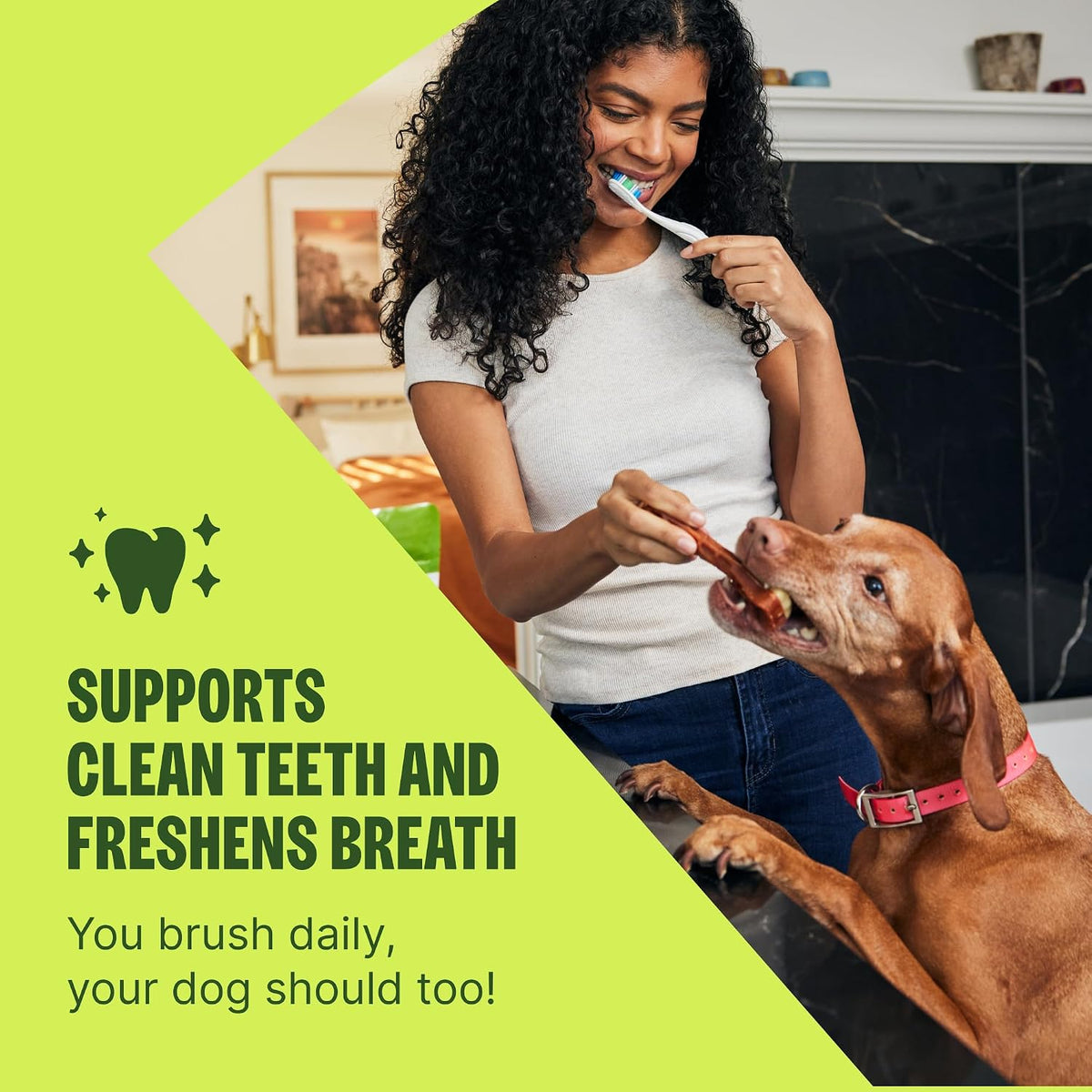 Whimzees Brushzees VOHC accepted dental chews