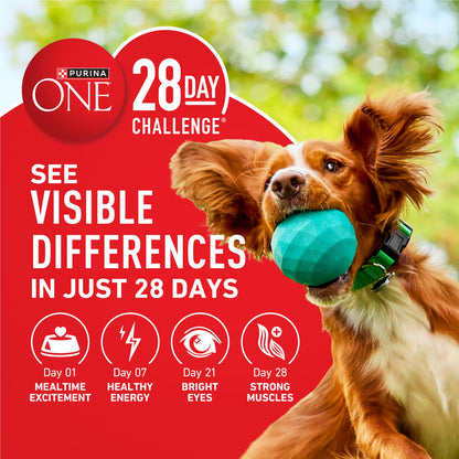 Purina ONE Lamb & Rice Formula Dry Dog Food for Digestive Support