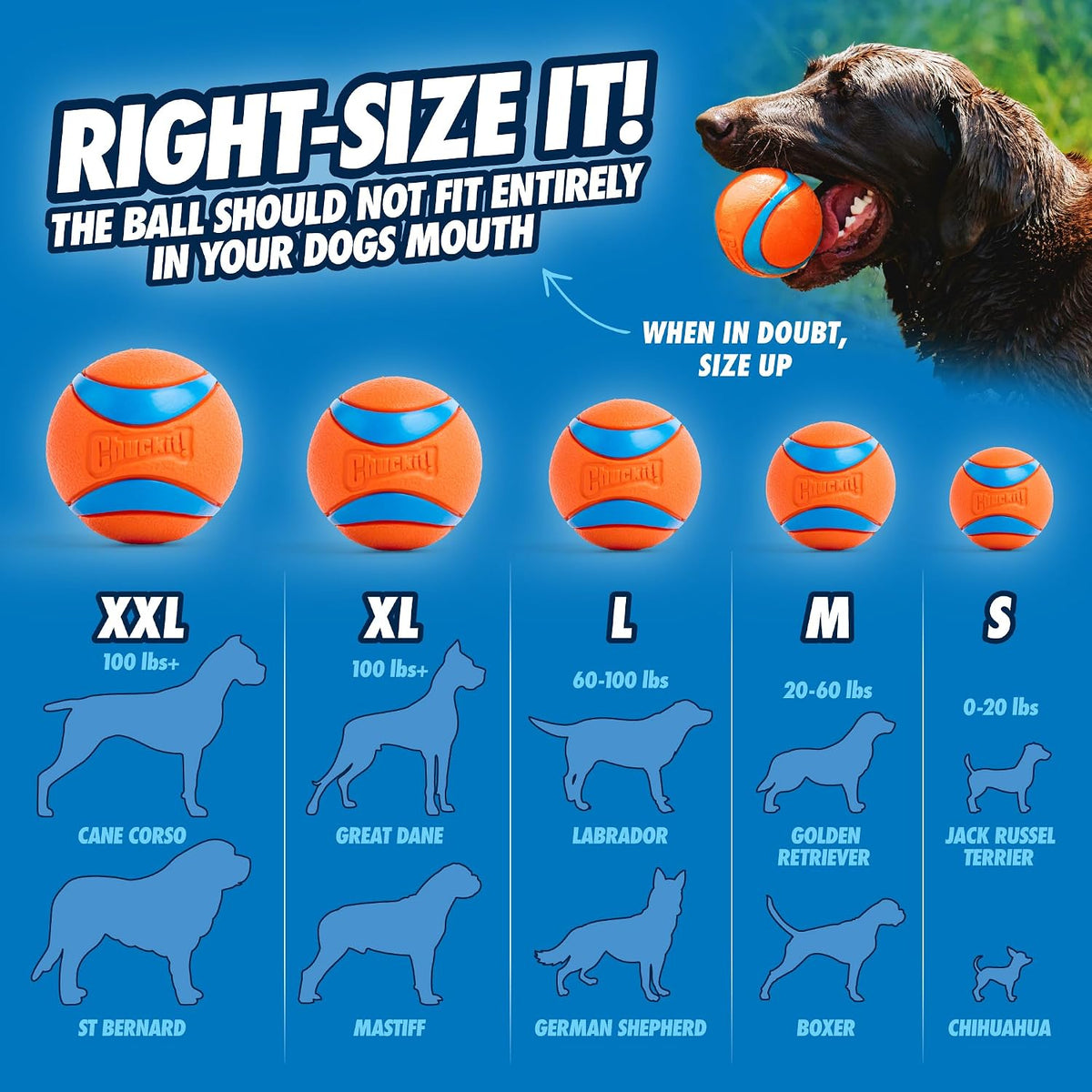 Chuckit Ultra Ball floating fetch ball for water play