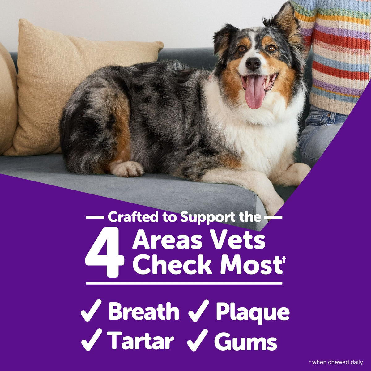 WHIMZEES Holiday Dog Dental Treats – Medium, 6 Count