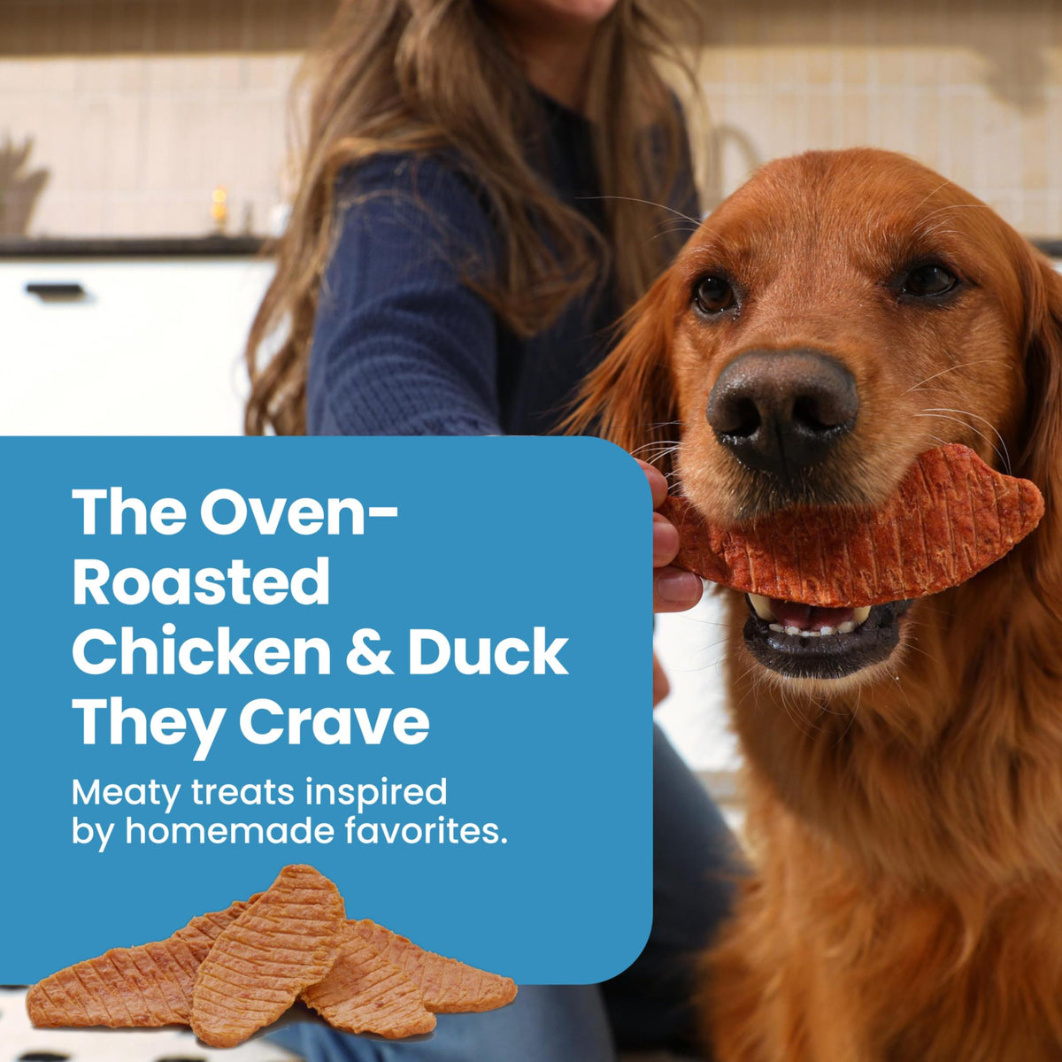 Blue Buffalo Nudges Chicken Jerky Cuts Dog Treats, 16 oz
