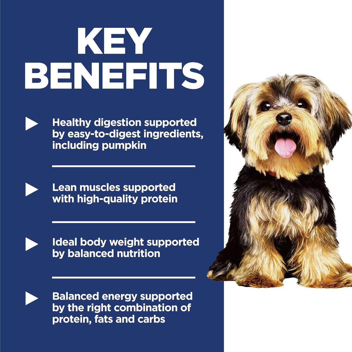Hill's Science Diet Adult Small & Mini Dry Dog Food, Ages 1–6