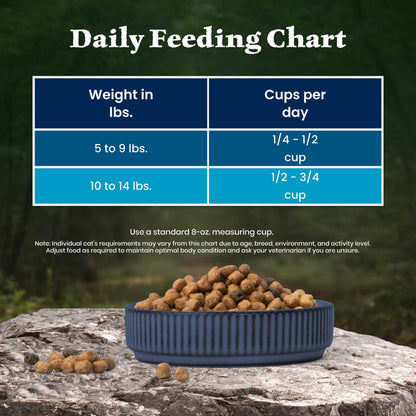 Blue Buffalo Wilderness Chicken Grain-Free Dry Cat Food, 12 lb