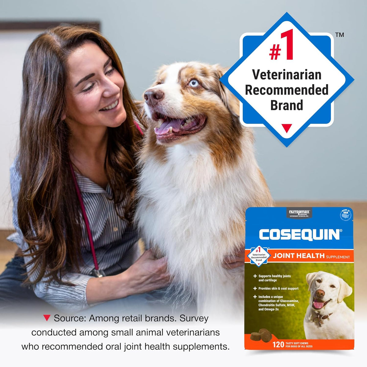 Nutramax Cosequin Soft Chew Supplement for Dogs, 120 Count