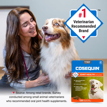 Nutramax Cosequin Soft Chew Supplement for Dogs, 120 Count
